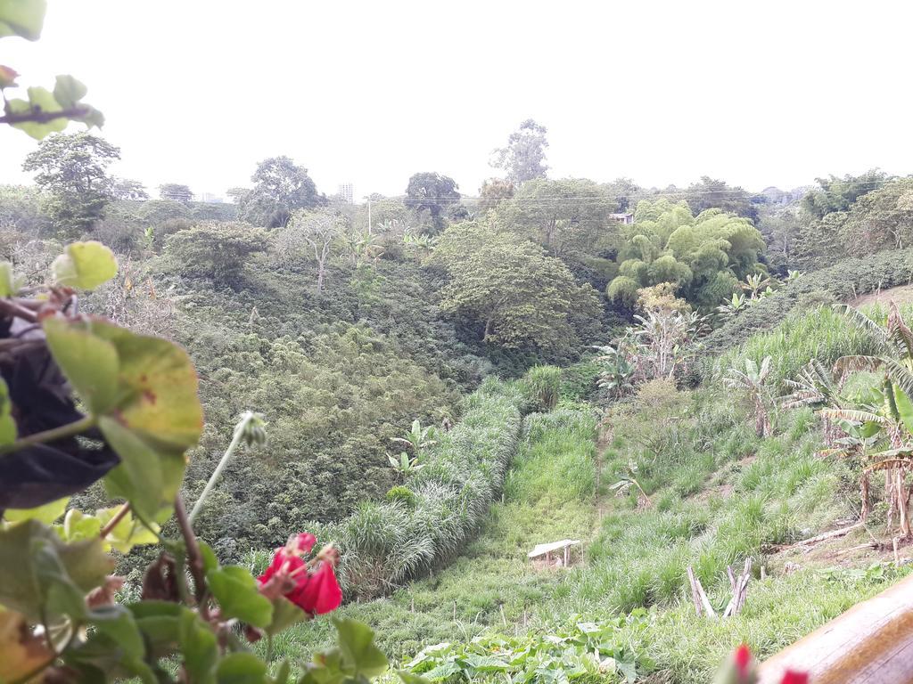 Finca El Diamante Villa Calarcá Kültér fotó