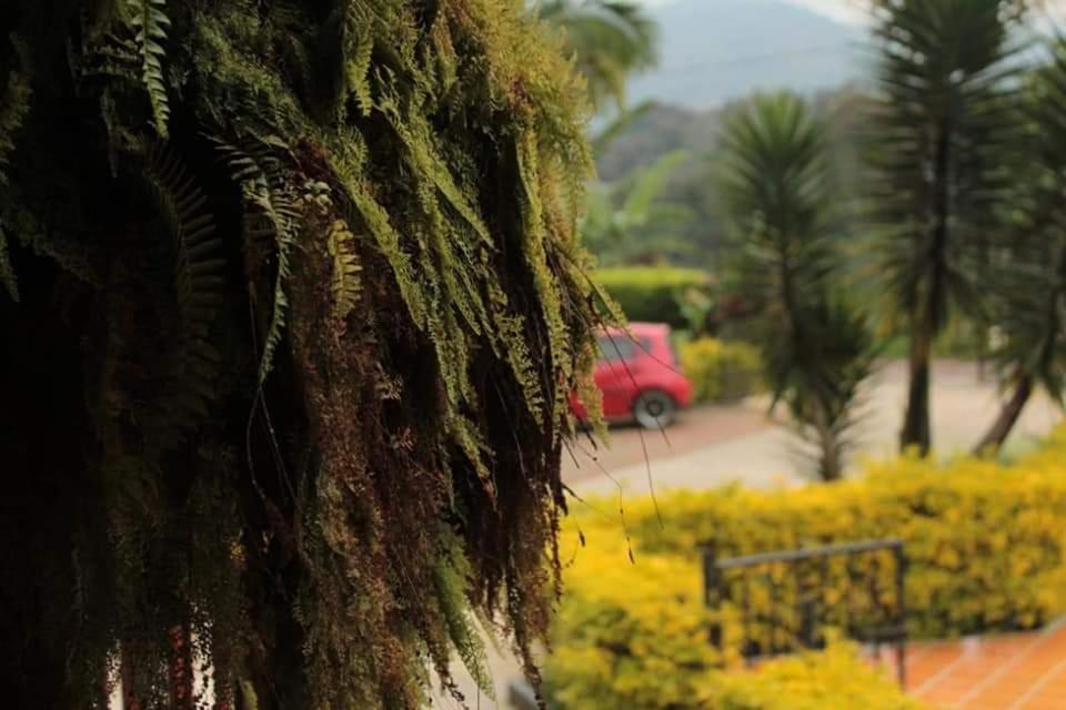 Finca El Diamante Villa Calarcá Kültér fotó
