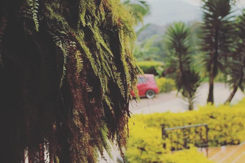 Finca El Diamante Villa Calarcá Kültér fotó